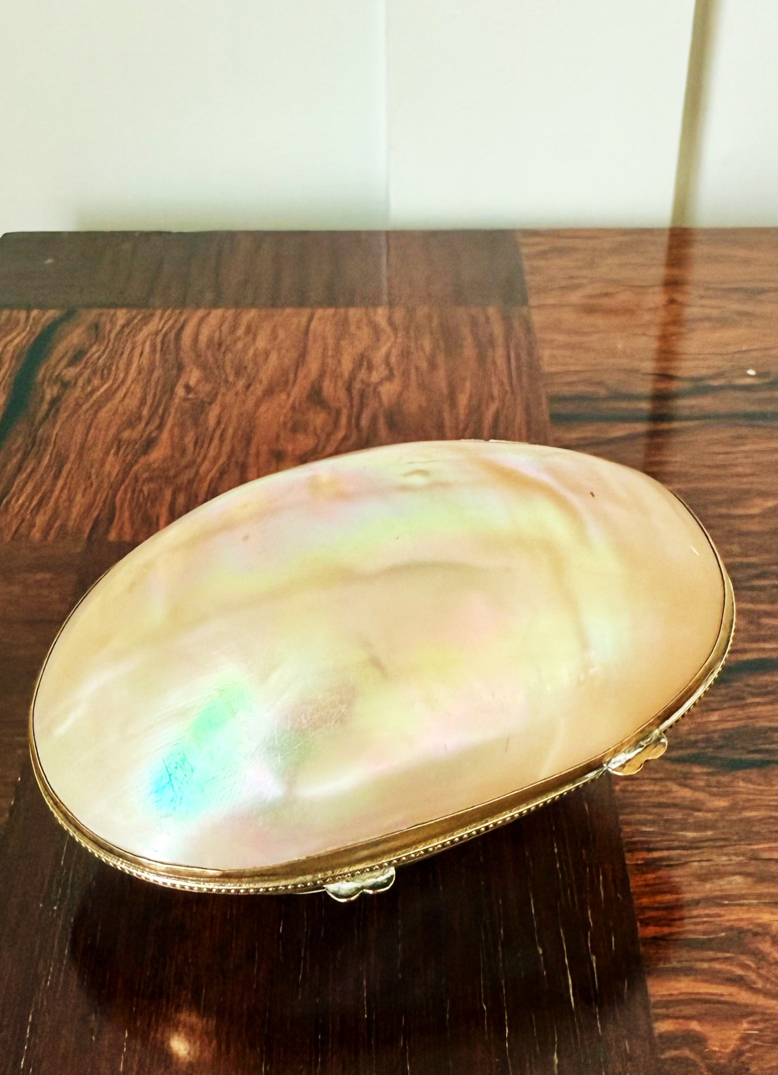 Antique French Shell Lidded Box