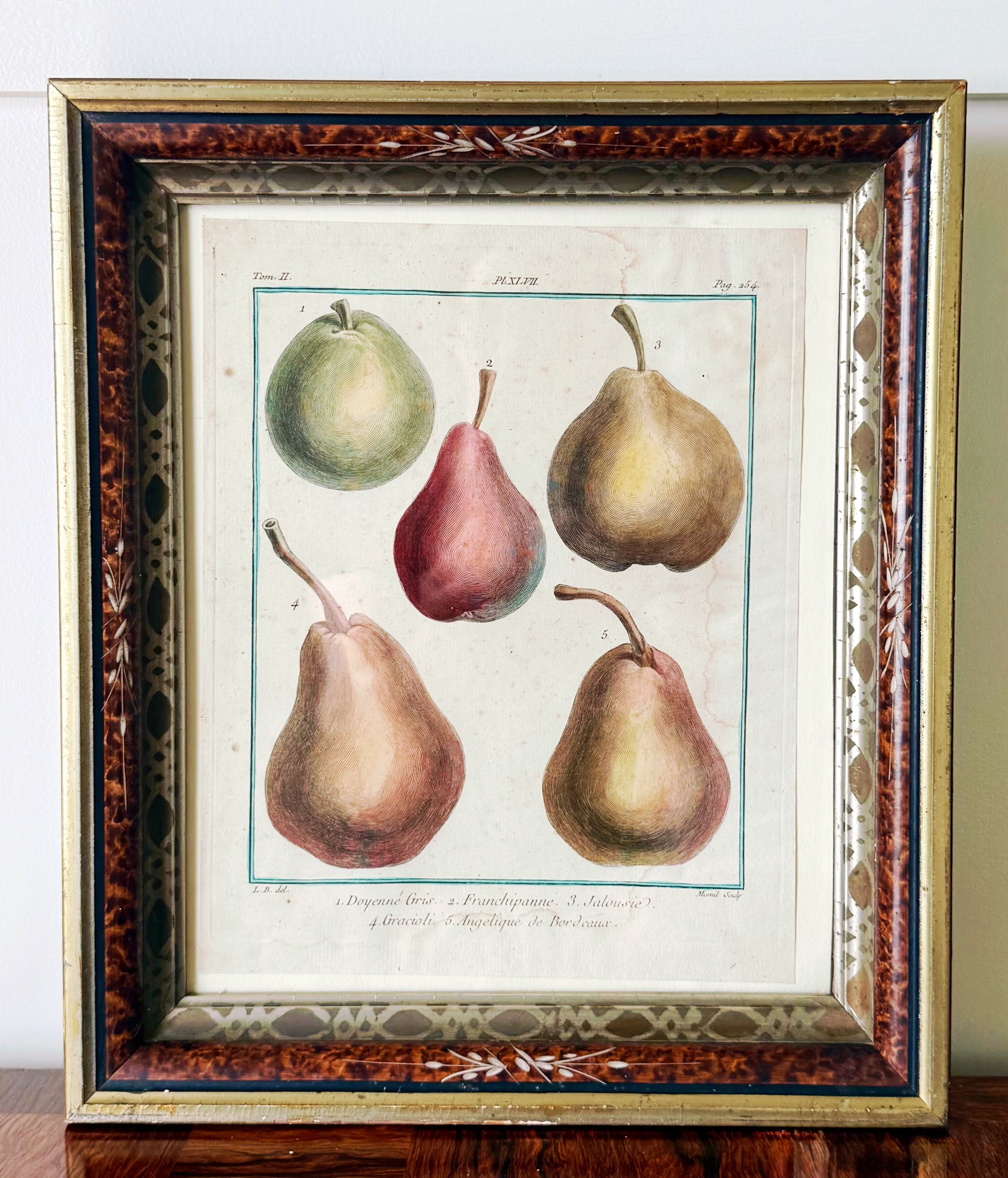 Antique French Engraving of Pear Specimens in Vintage Frame with Inlay