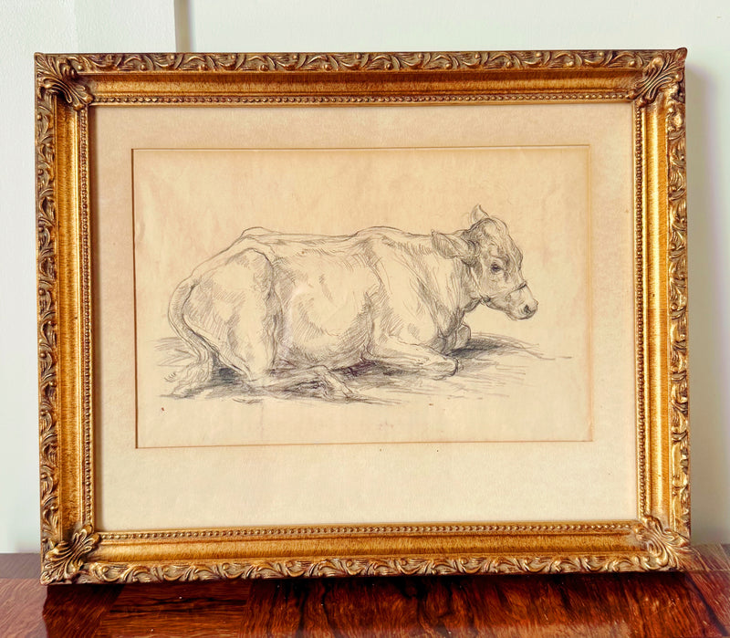 Pencil Drawing of a Lovely Recumbent Cow in Frame