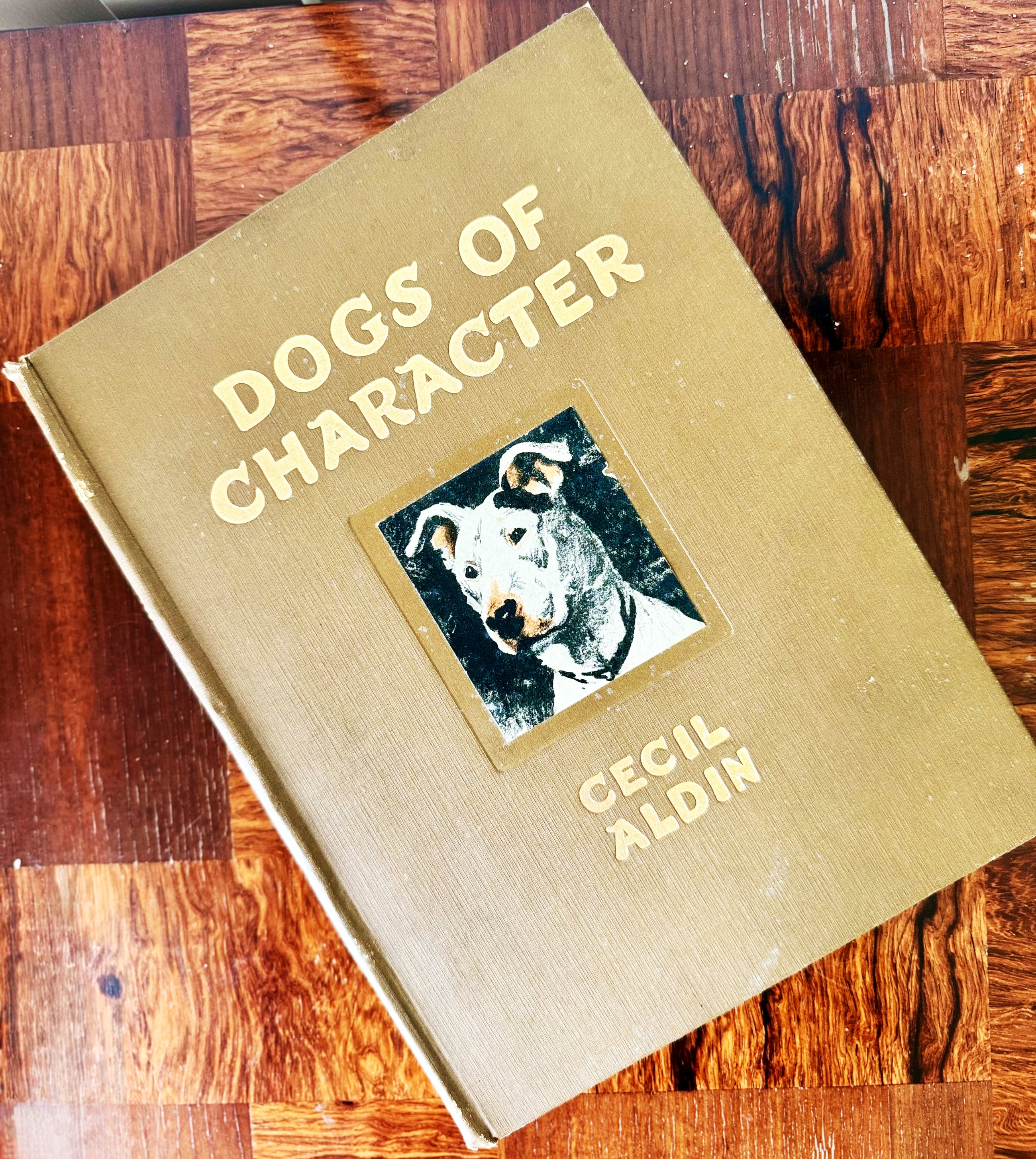 Dogs of Character by Cecil Aldin, London, 1927