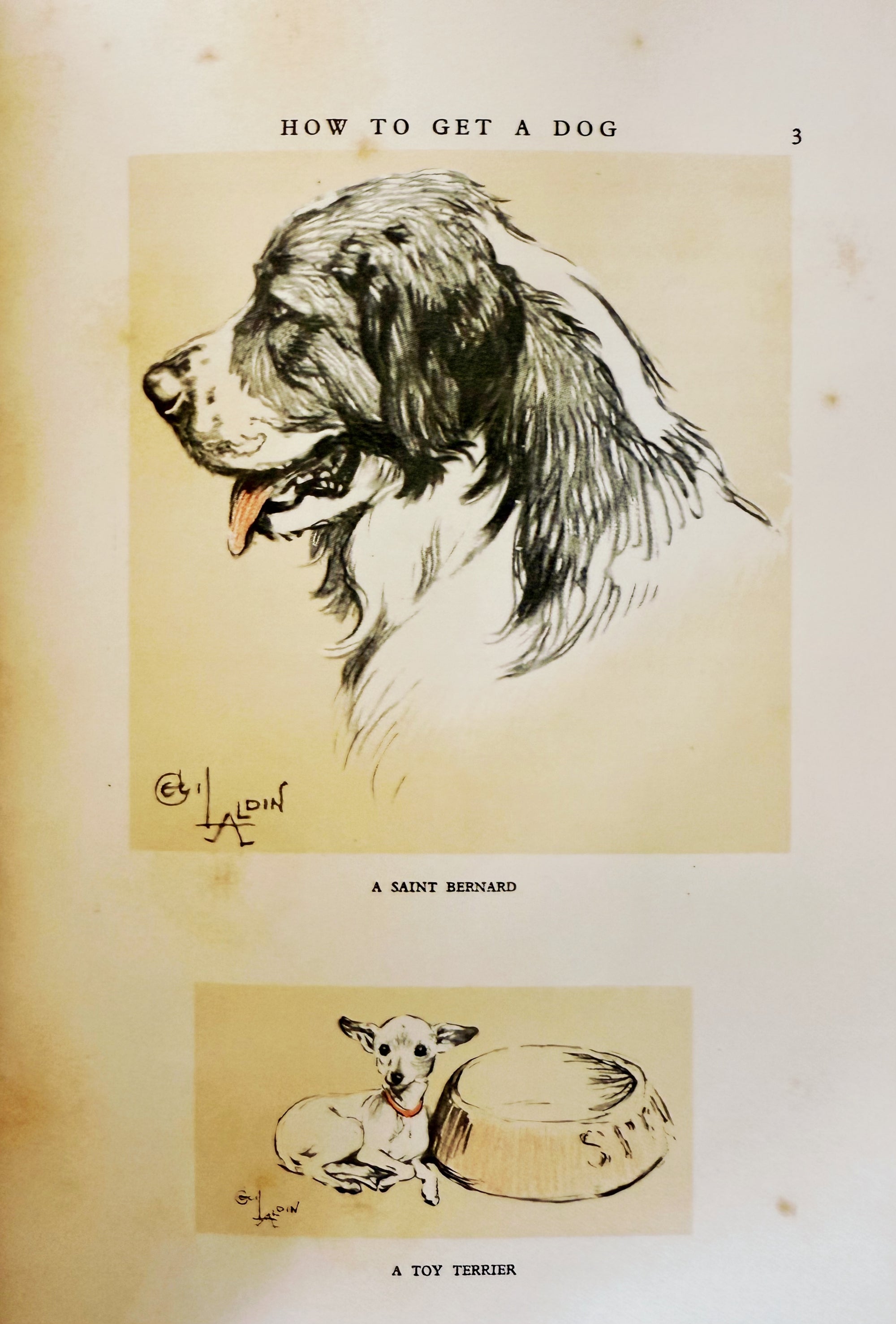 Dogs of Character by Cecil Aldin, London, 1927